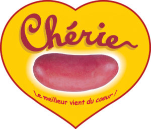 Pomme de terre CHERIE