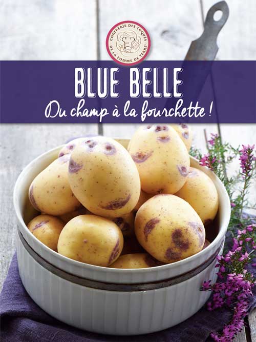 Dossier de Presse Blue Belle