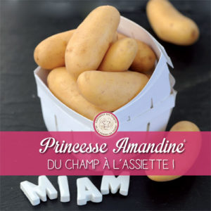 Pomme de terre Princesse Amandine